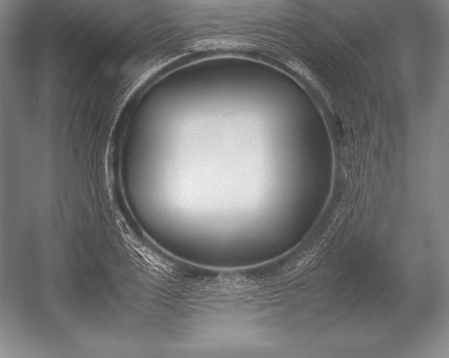 X0000052990983200507221216