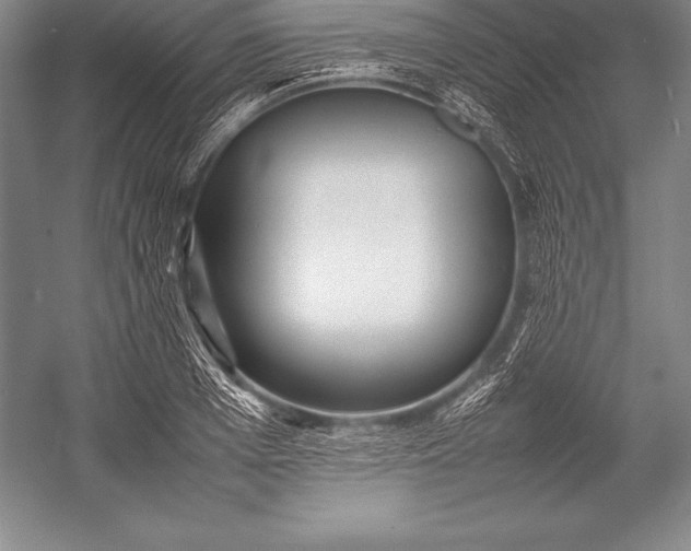 X0000052990985200507221216