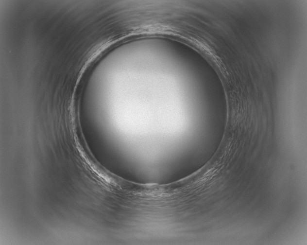 X0000052990990200507221216