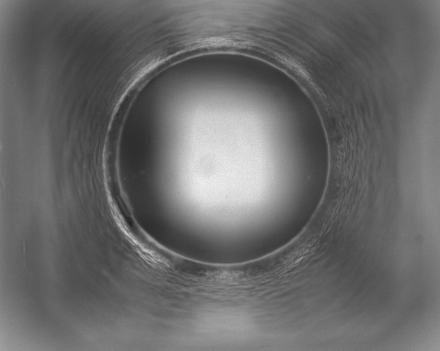 X0000052990991200507221216