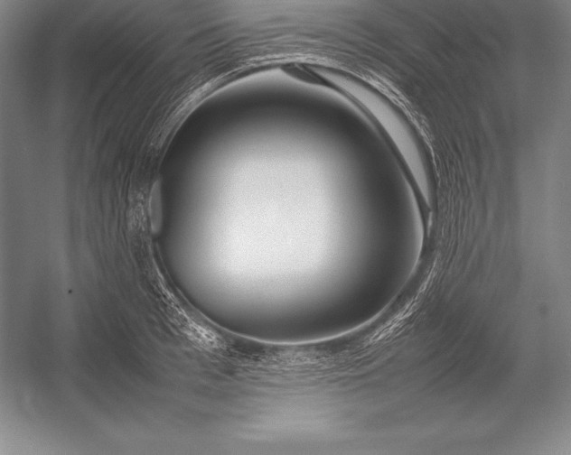 X0000052990993200507221216
