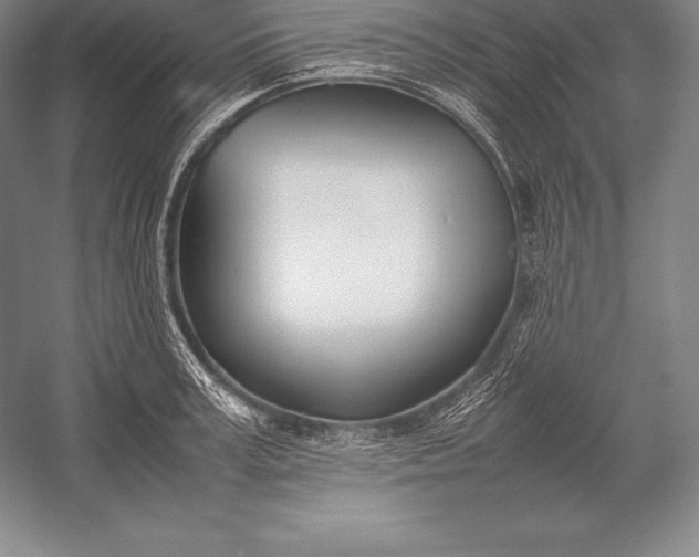 X0000052990995200507221216
