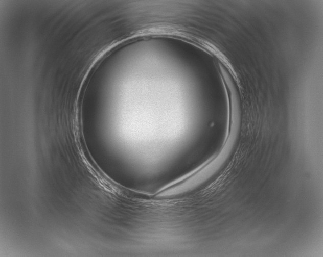 X0000052990996200507221216