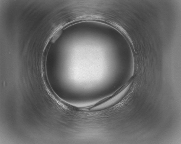 X0000052990997200507221216