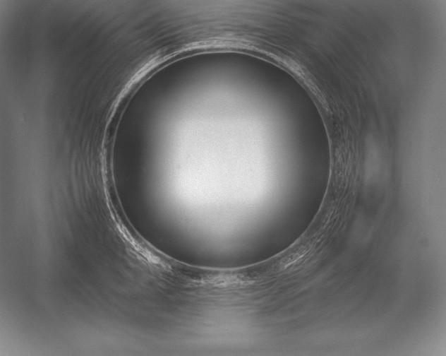X0000052990998200507221216