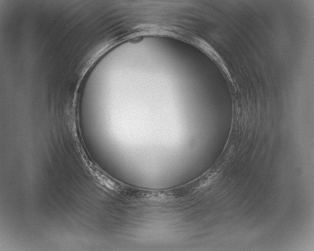 X0000052991002200507221216