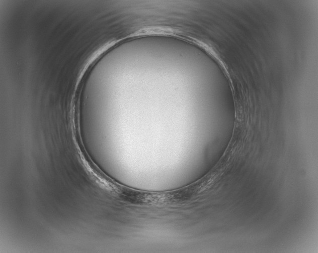 X0000052991003200507221216