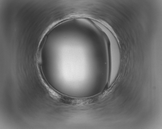 X0000052991005200507221216