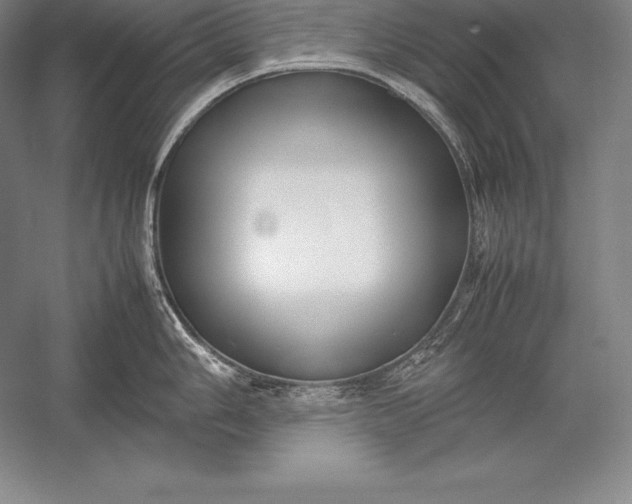 X0000052991006200507221216