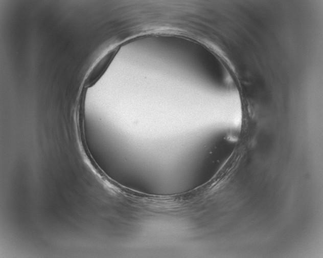 X0000052991007200507221216