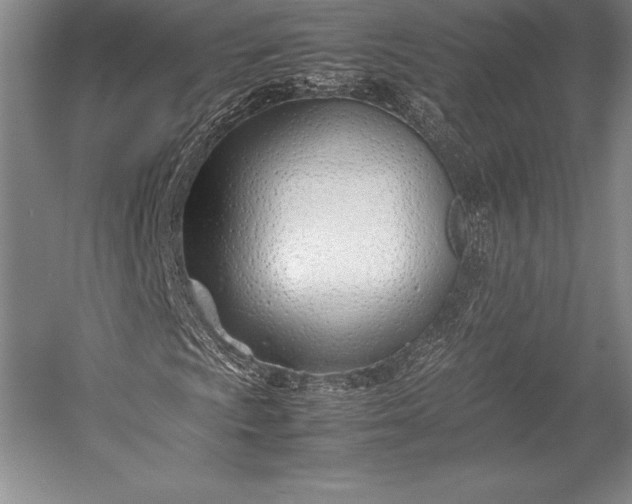 X0000052991009200507221215
