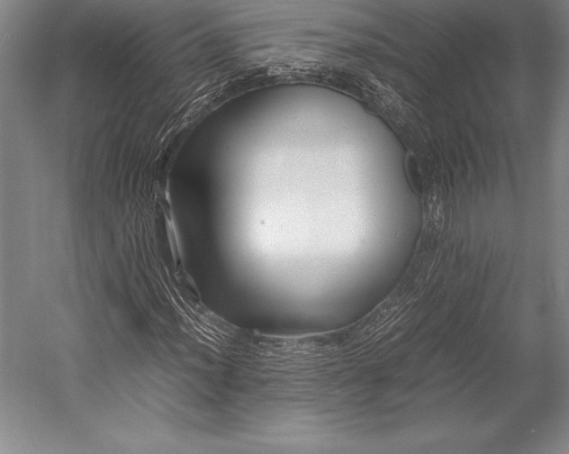 X0000052991012200507221215