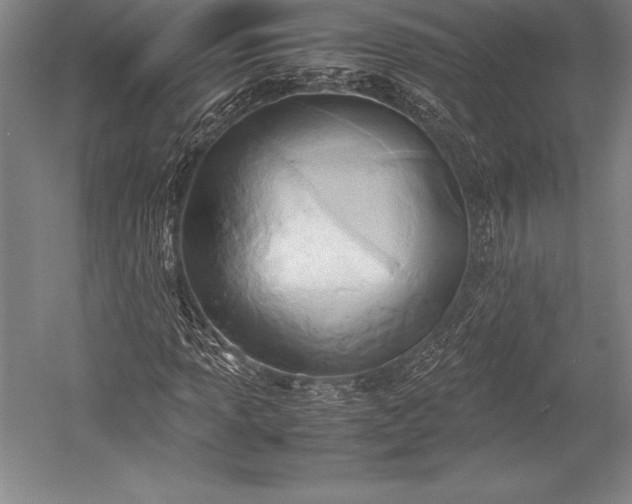 X0000052991013200507221215