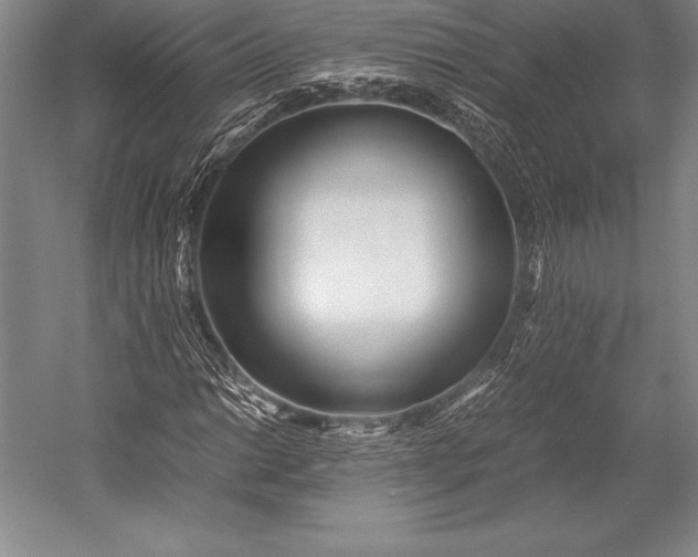 X0000052991014200507221215