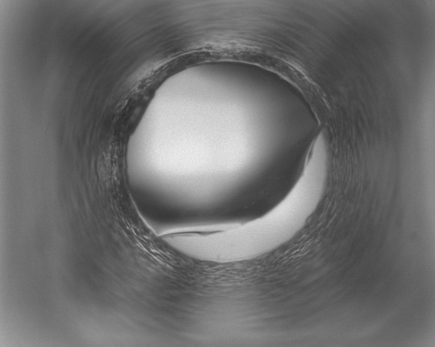 X0000052991016200507221215