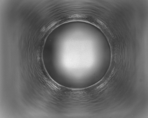X0000052991017200507221215