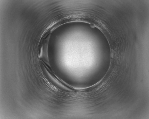 X0000052991018200507221215