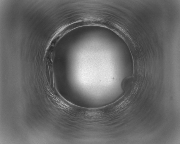 X0000052991021200507221215