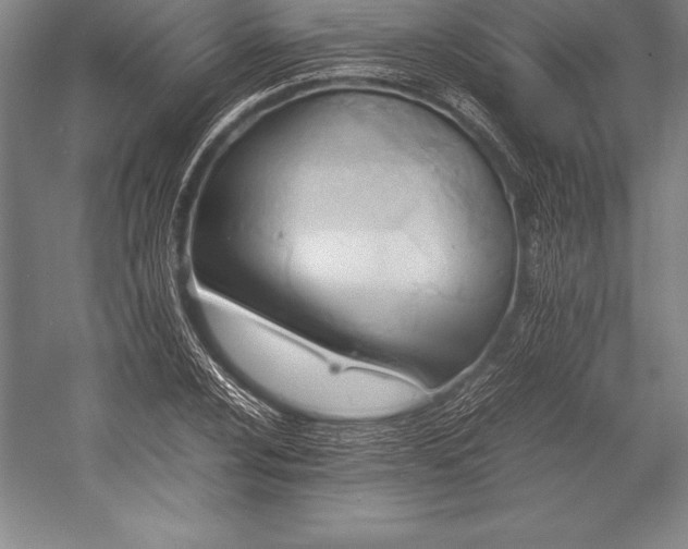 X0000052991024200507221215