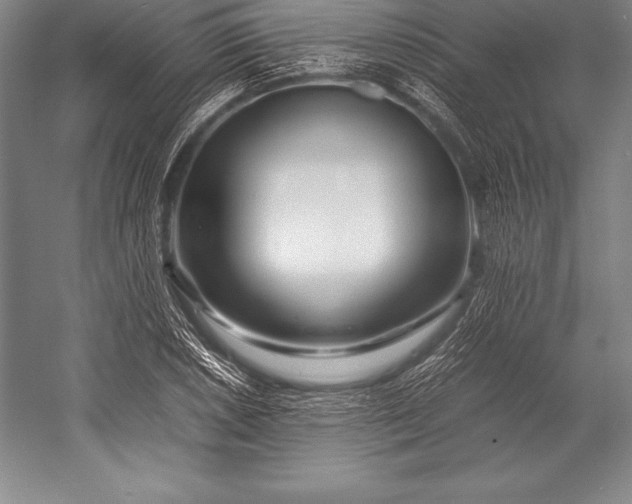 X0000052991026200507221215