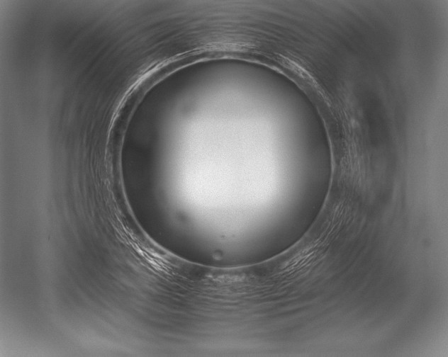 X0000052991027200507221215