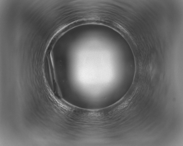 X0000052991029200507221215