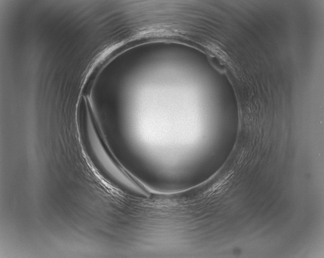 X0000052991030200507221215