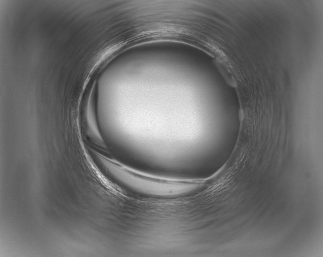 X0000052991034200507221215