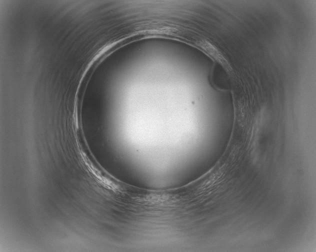 X0000052991036200507221215