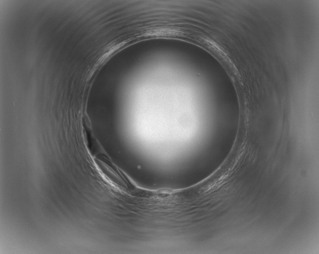 X0000052991041200507221215