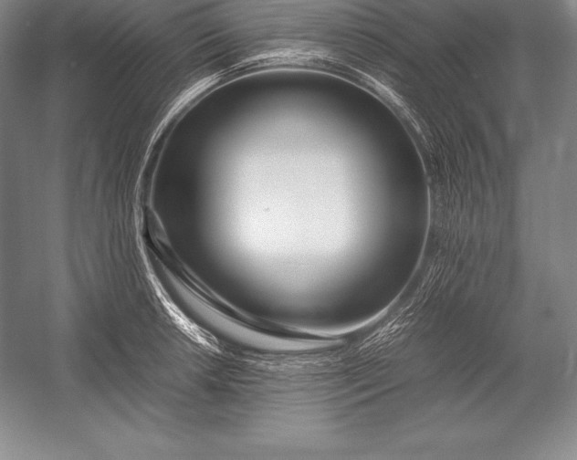 X0000052991042200507221215