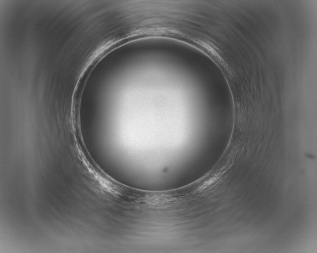 X0000052991046200507221215