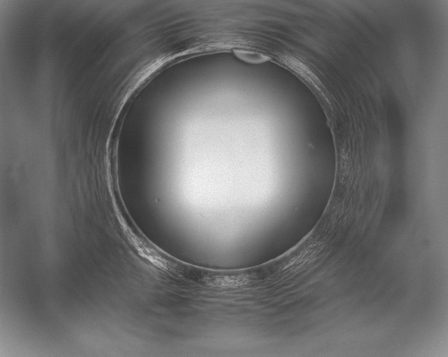 X0000052991047200507221215