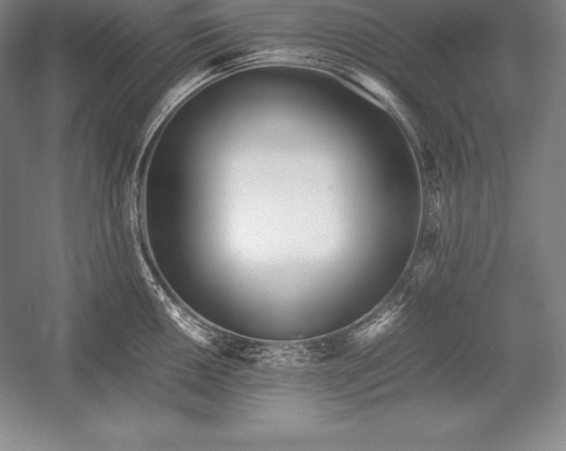 X0000052991050200507221215