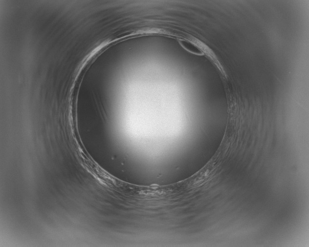 X0000052991051200507221215