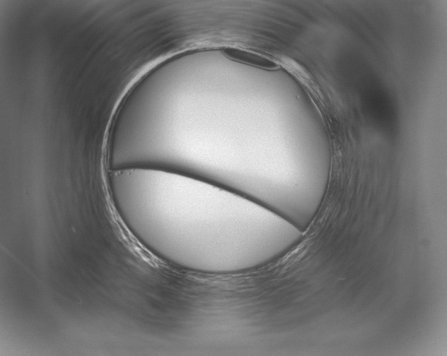 X0000052991052200507221215