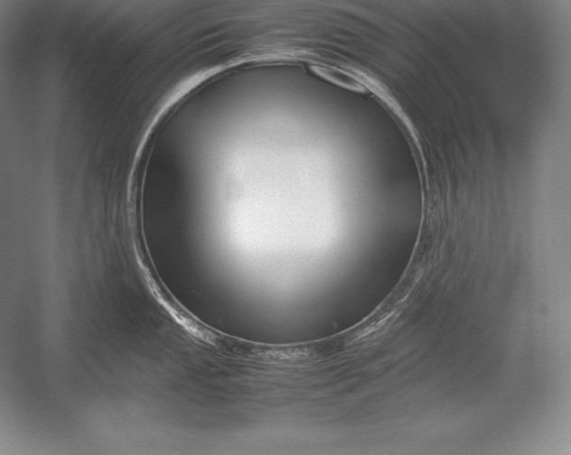 X0000052991053200507221215