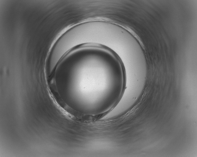 X0000052991054200507221215
