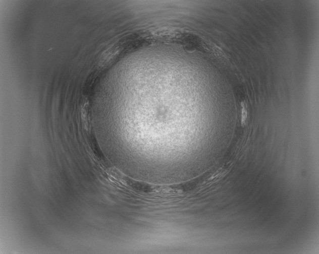 X0000052991059200507221215