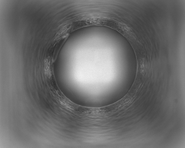 X0000052991060200507221215