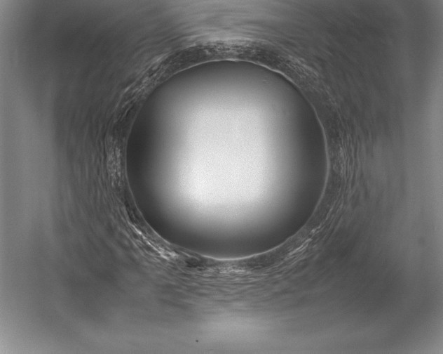 X0000052991061200507221215