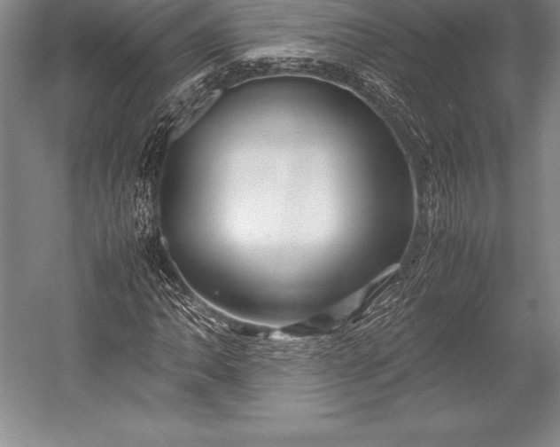 X0000052991062200507221215