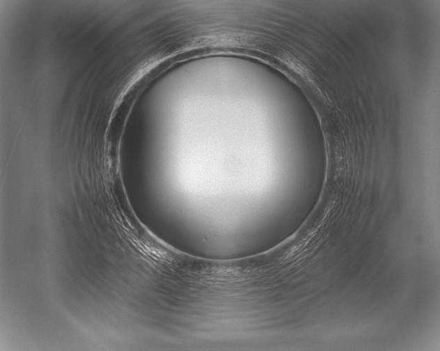 X0000052991070200507221214