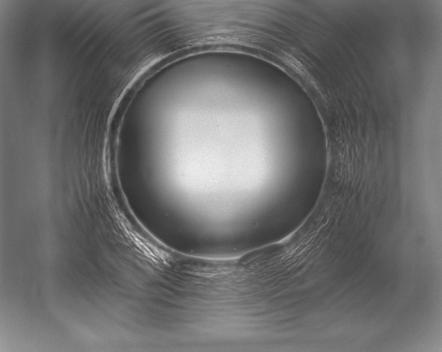 X0000052991076200507221214