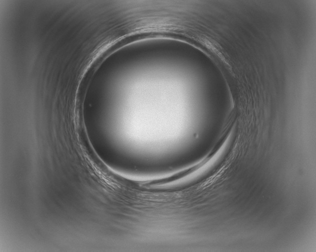 X0000052991077200507221214