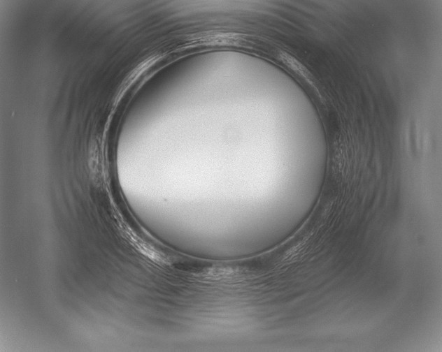 X0000052991082200507221214