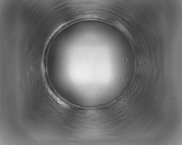 X0000052991084200507221214