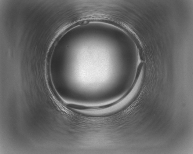 X0000052991085200507221214