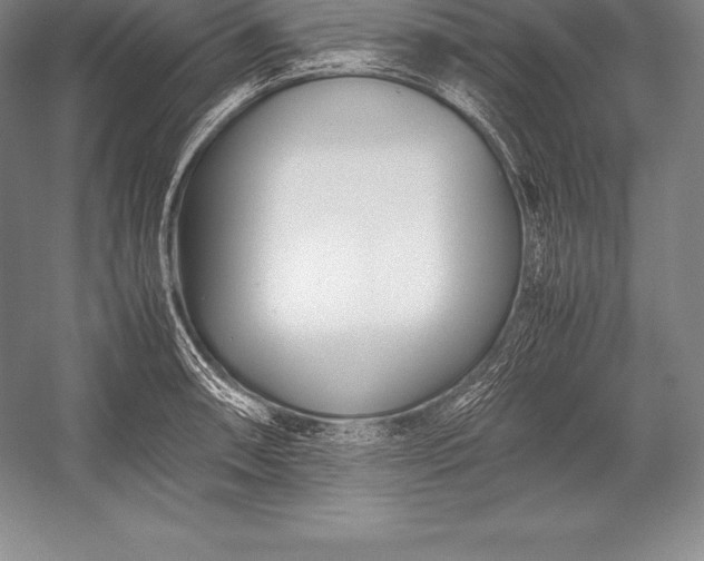 X0000052991090200507221214