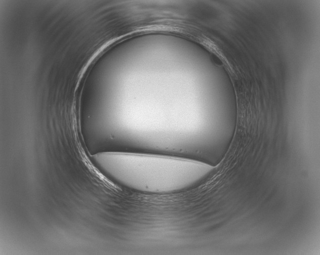 X0000052991092200507221214